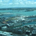 11 Sky Tower View